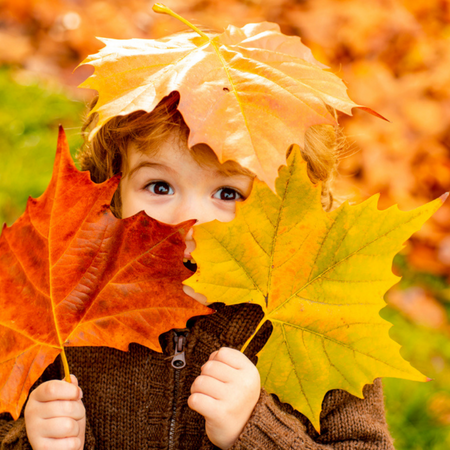 Autumn Garden Activities For Children